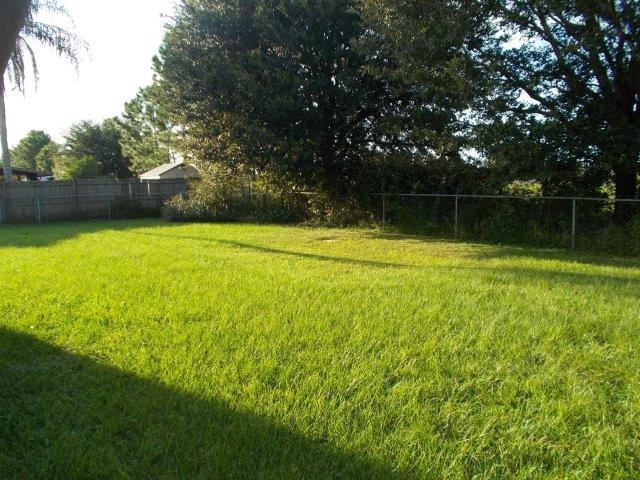 backyard 2