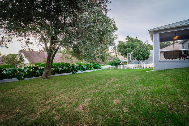 backyard2