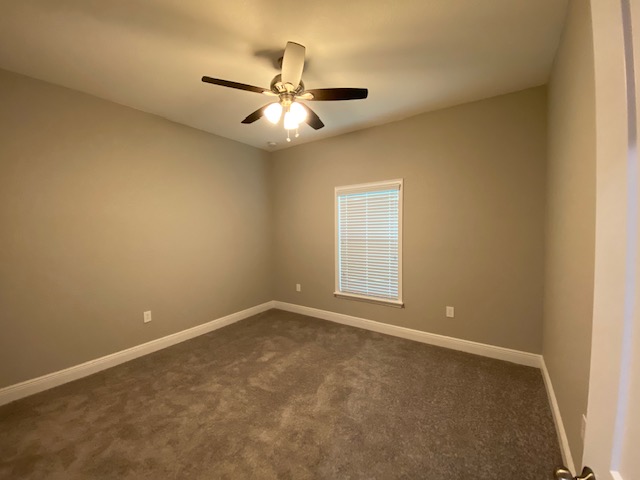 bed 2 carpet