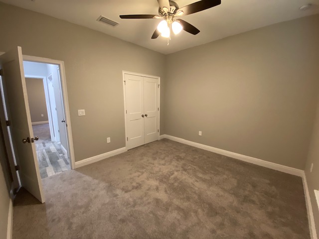 bed 3 carpet