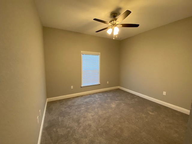 bed3carpet-
